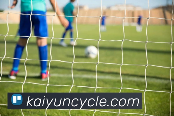 开云体育APP 体育赛事宣传图